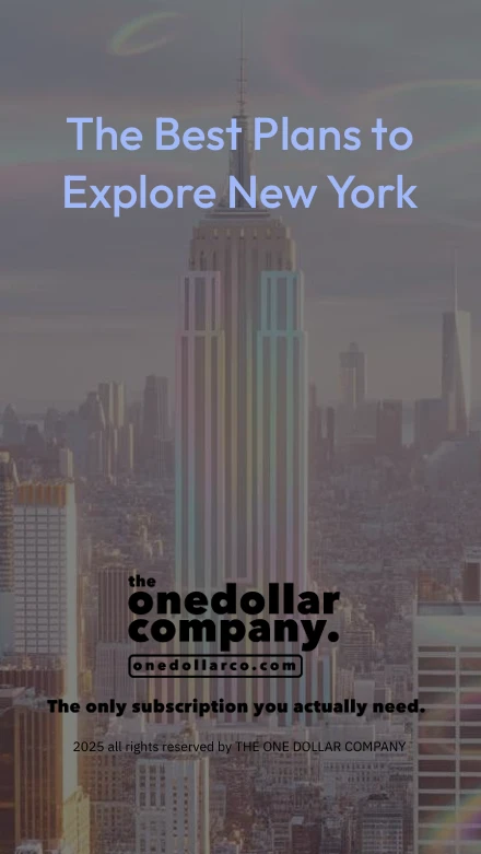 The Best Plans to Explore New York