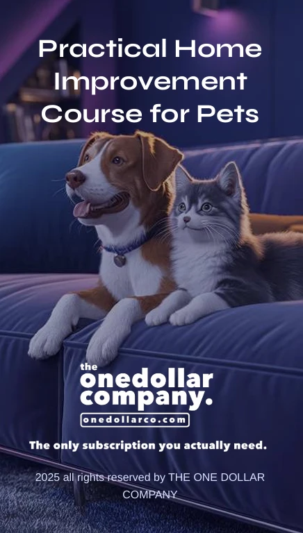 Practical Home Improvement Course for Pets