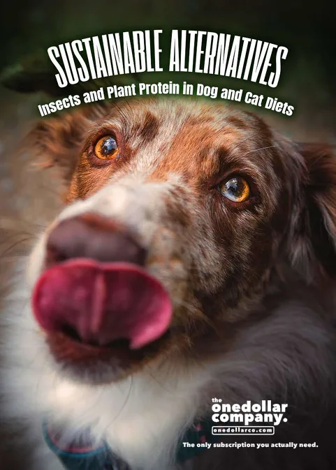 Sustainable Alternatives Insects and Plant Protein in Dog and Cat Diets
