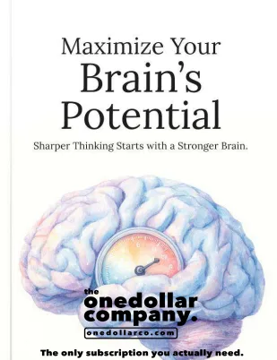 Maximize Your Brain’s Potential