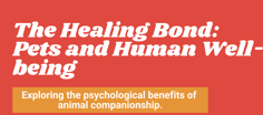 The Healing Bond: Pets and Human Well-being