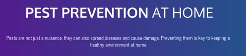 Pest prevention at home