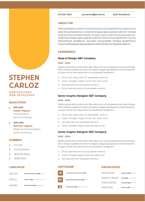 Professional CV Resume-5