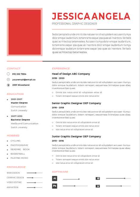 Professional CV Resume-8