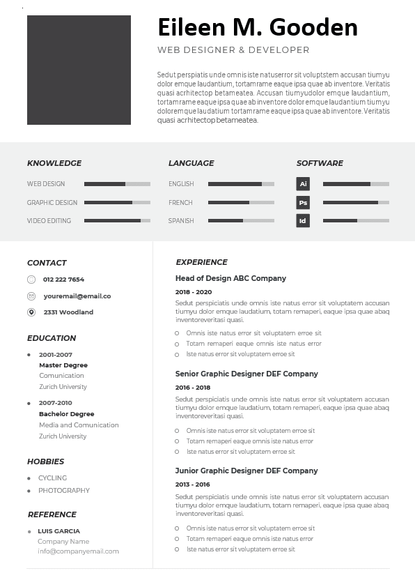 Professional CV Resume-12