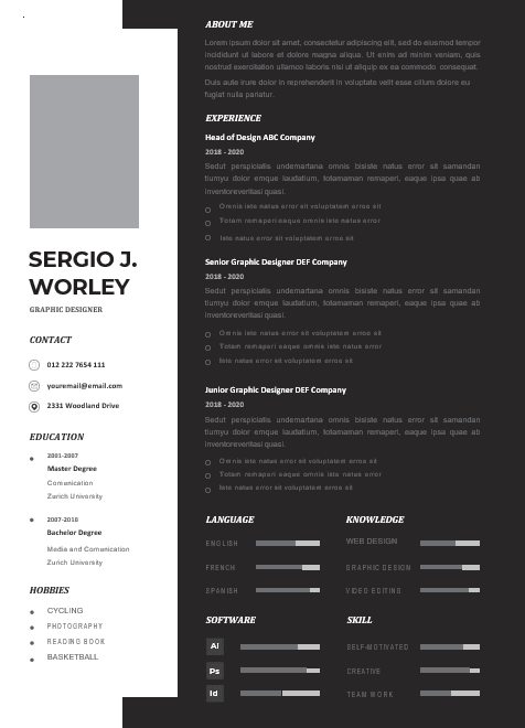 Professional CV Resume-19