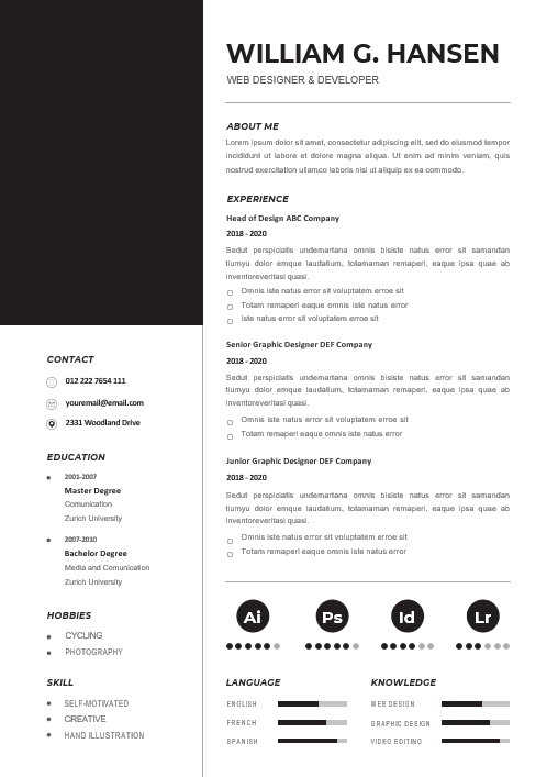 Professional CV Resume-21