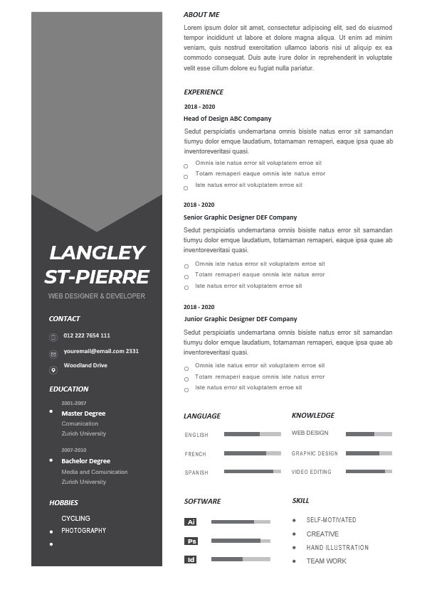 Professional CV Resume-25