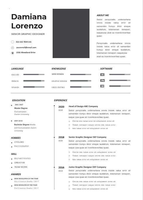 Professional CV Resume-28