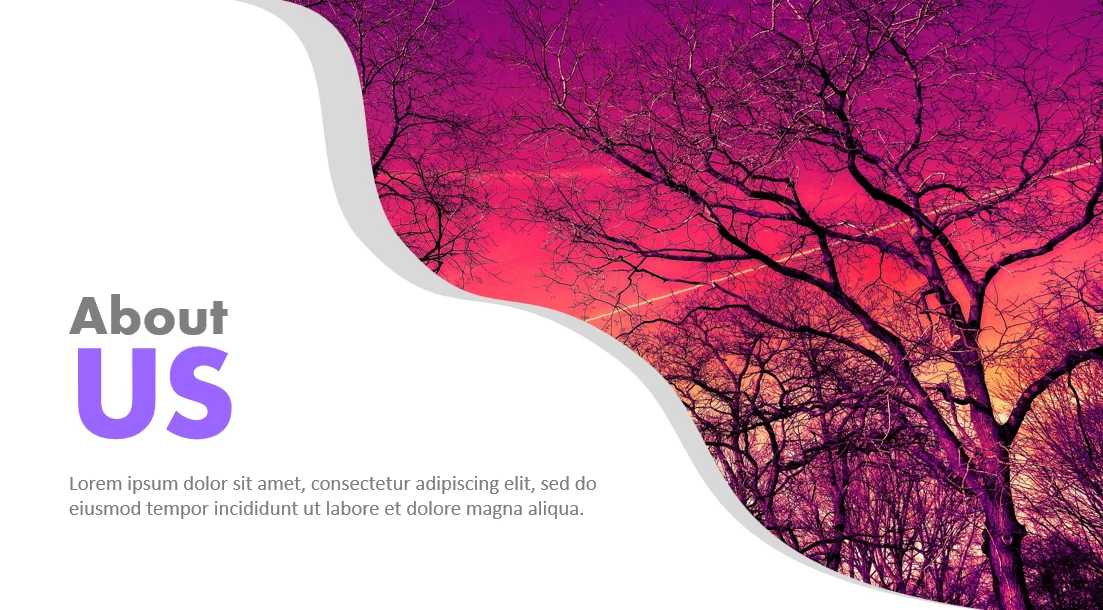 About Us Slides – Presentation Section Pack