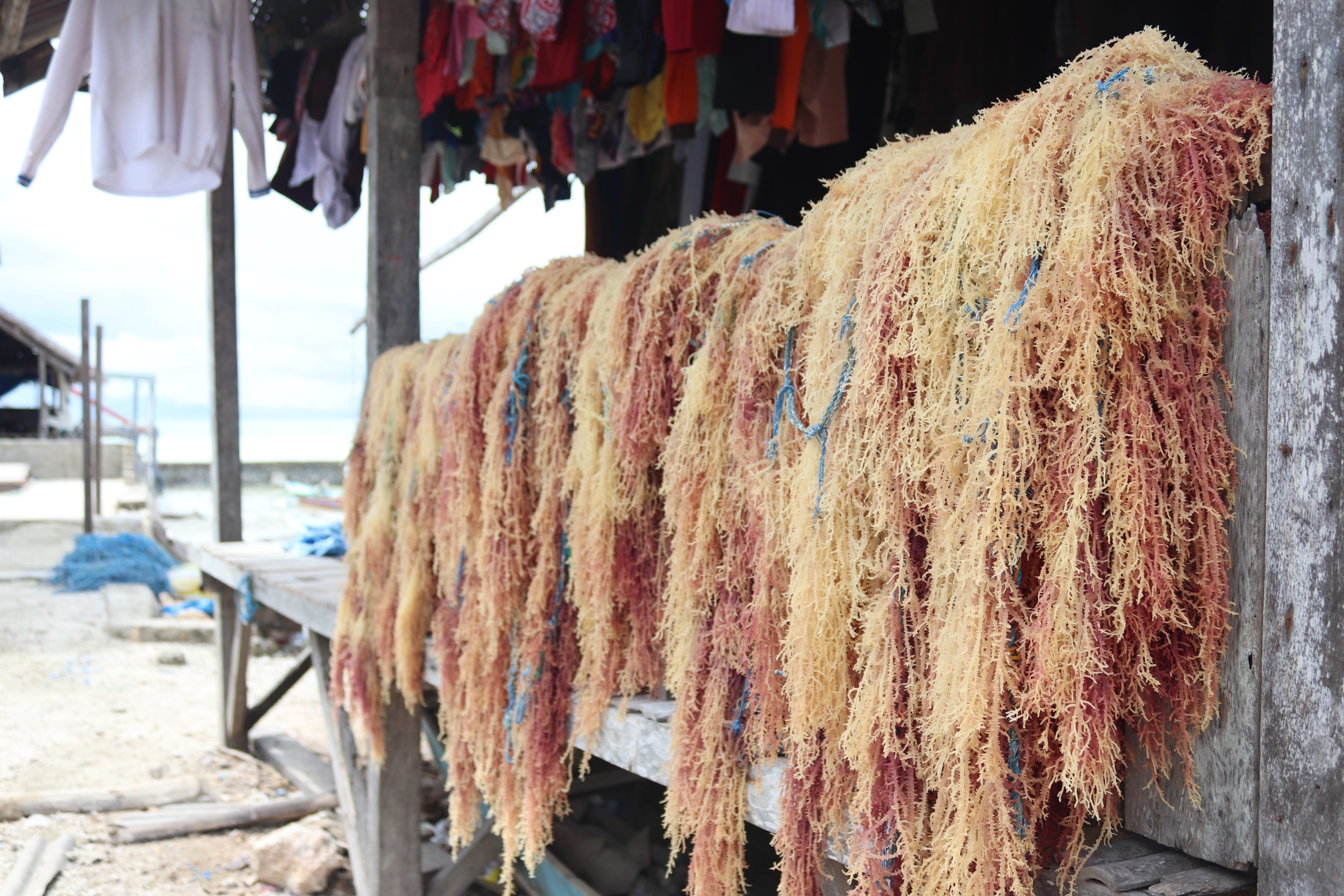 Edukasi Hijau: Menumbuhkan Kesadaran Lingkungan