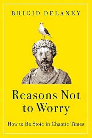 Reasons Not to Worry: How to Be Stoic in Chaotic Times—A Practical Guide to Stoicism for Self-Improvement and Personal Growth by Brigid Delaney book cover