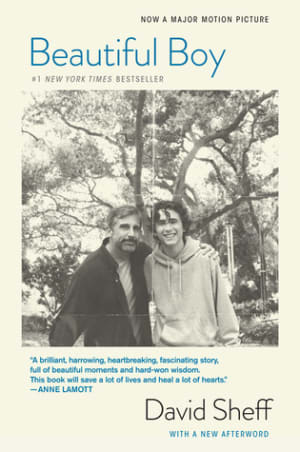 Beautiful Boy: A Father's Journey Through His Son's Addiction by David Sheff book cover