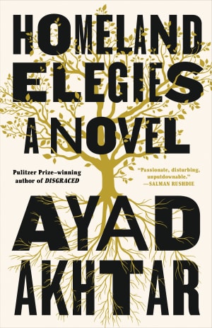Homeland Elegies by Ayad Akhtar book cover