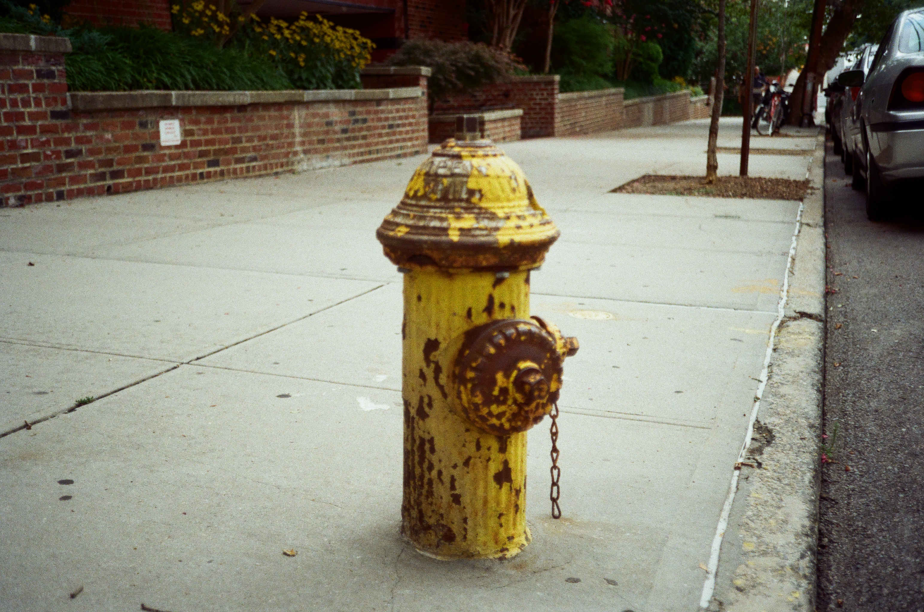 Fire Hydrant