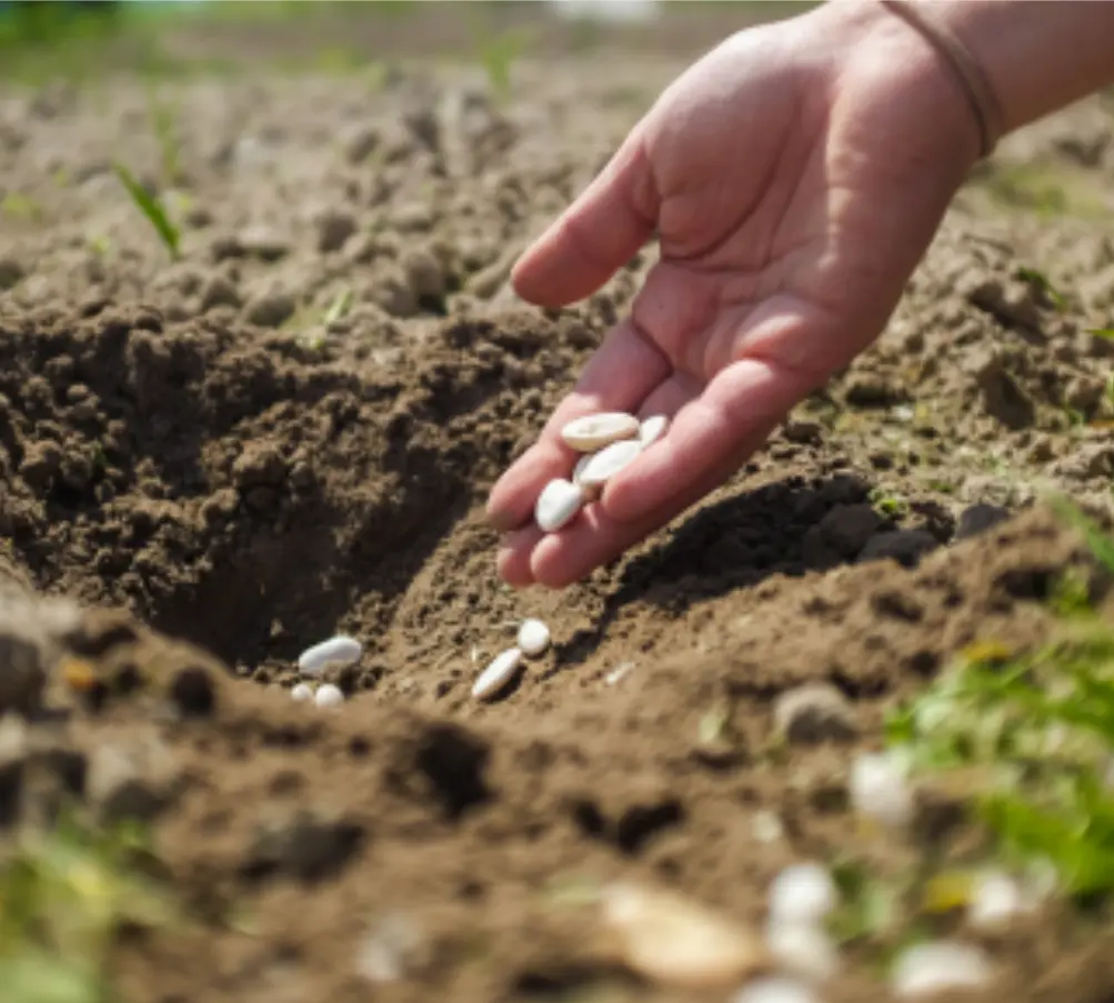 Corporate Website Redesign