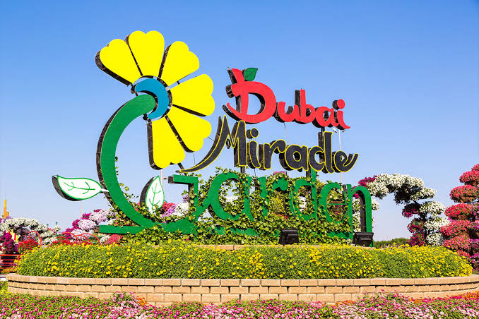 Miracle Garden in Dubai