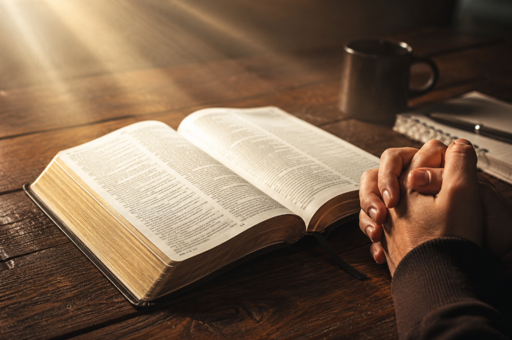 The Divine Providence Behind the Protestant Bible: How God Guided the Selection of It’s Books