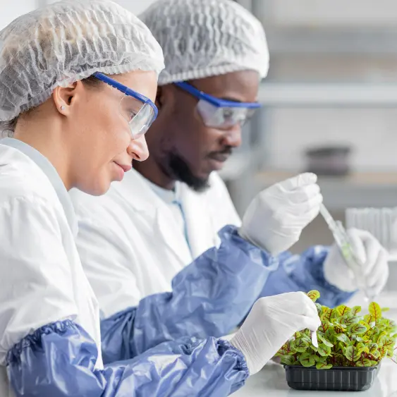 Food and Beverage Industry
