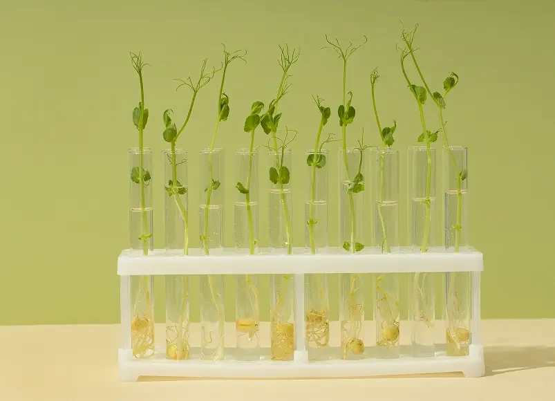 Environmental Laboratories