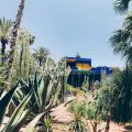 The Majorelle Garden