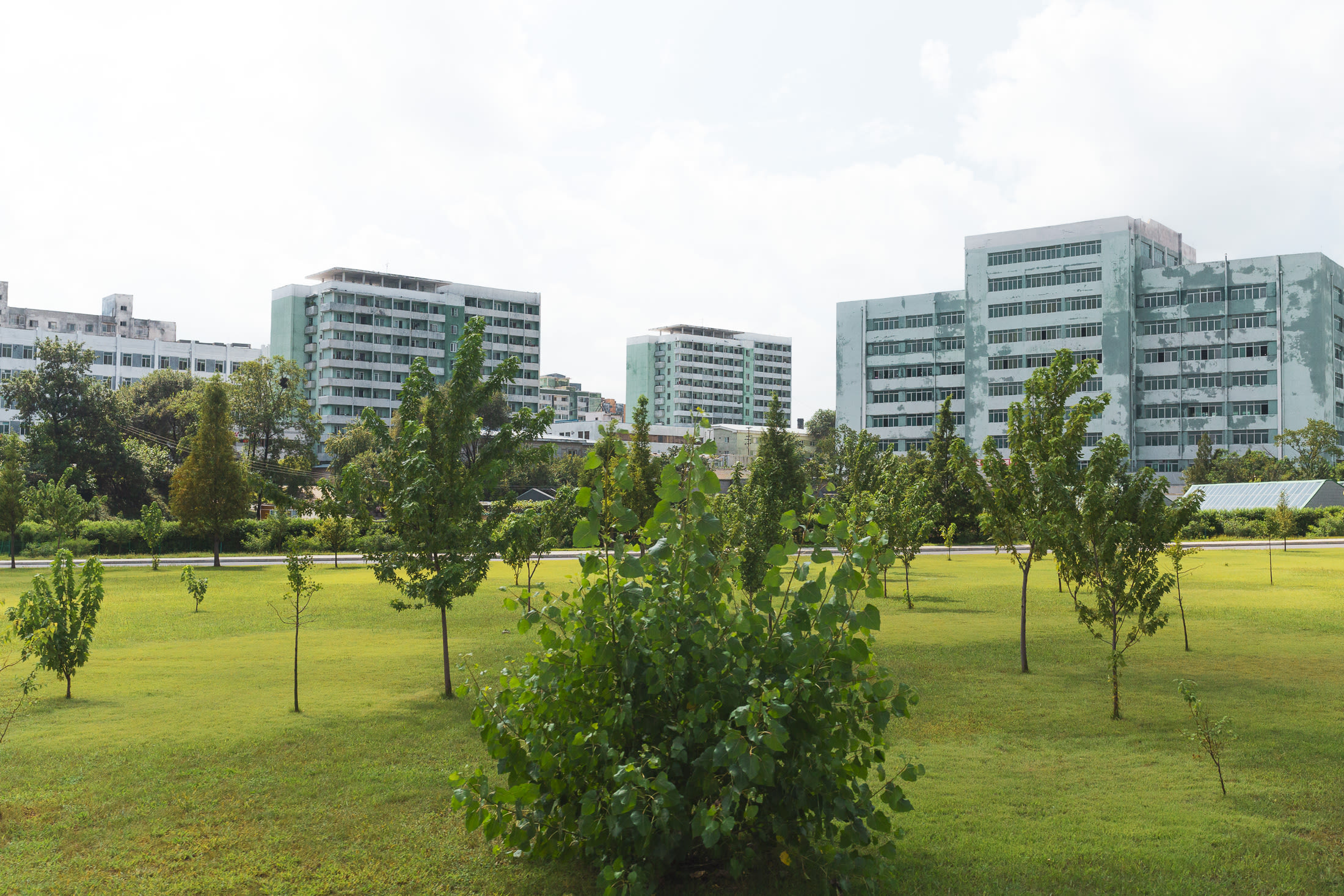 Wide-shot of pastel apartment blocks amongst trees and a field.
