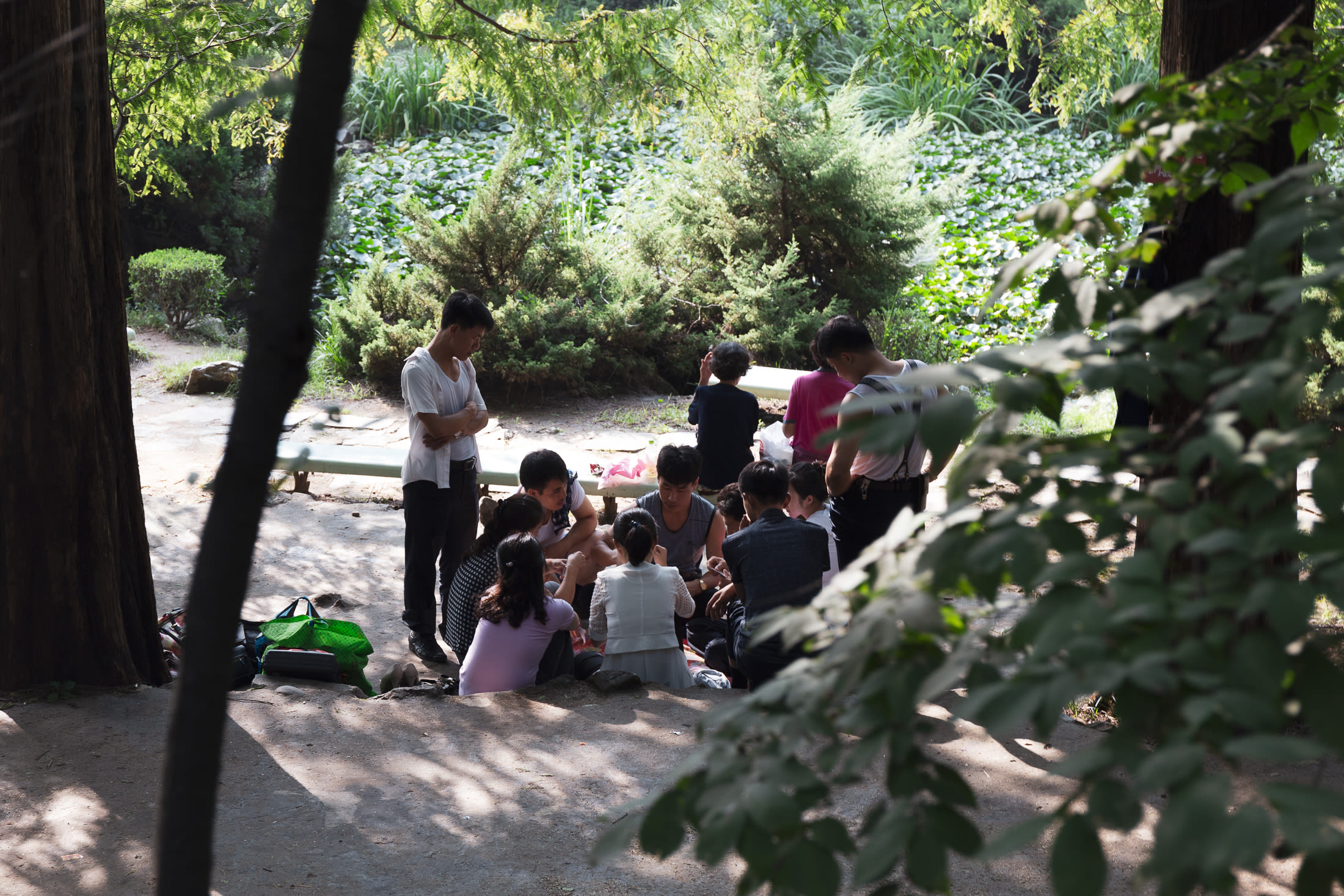 DPRK 073