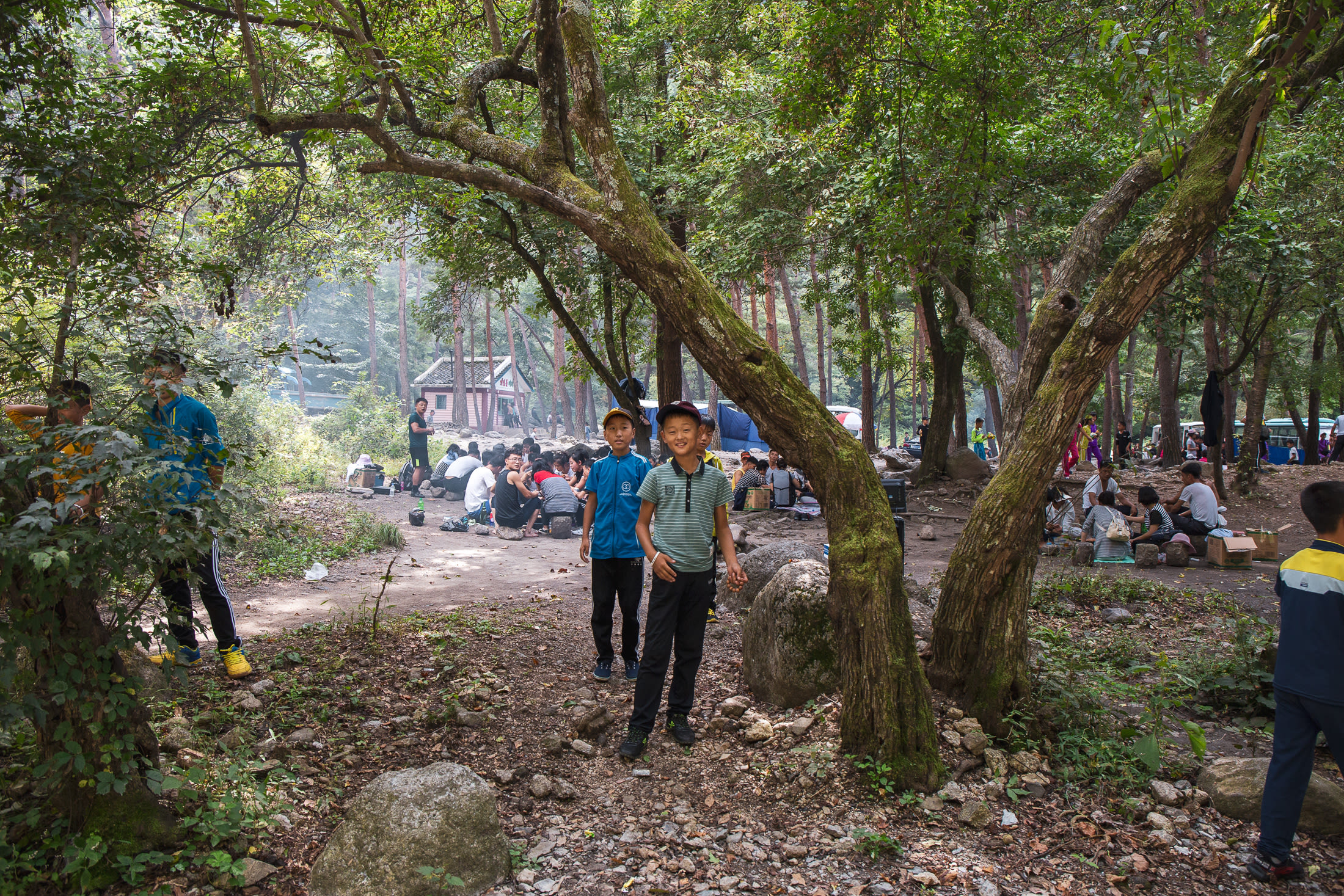 DPRK 133