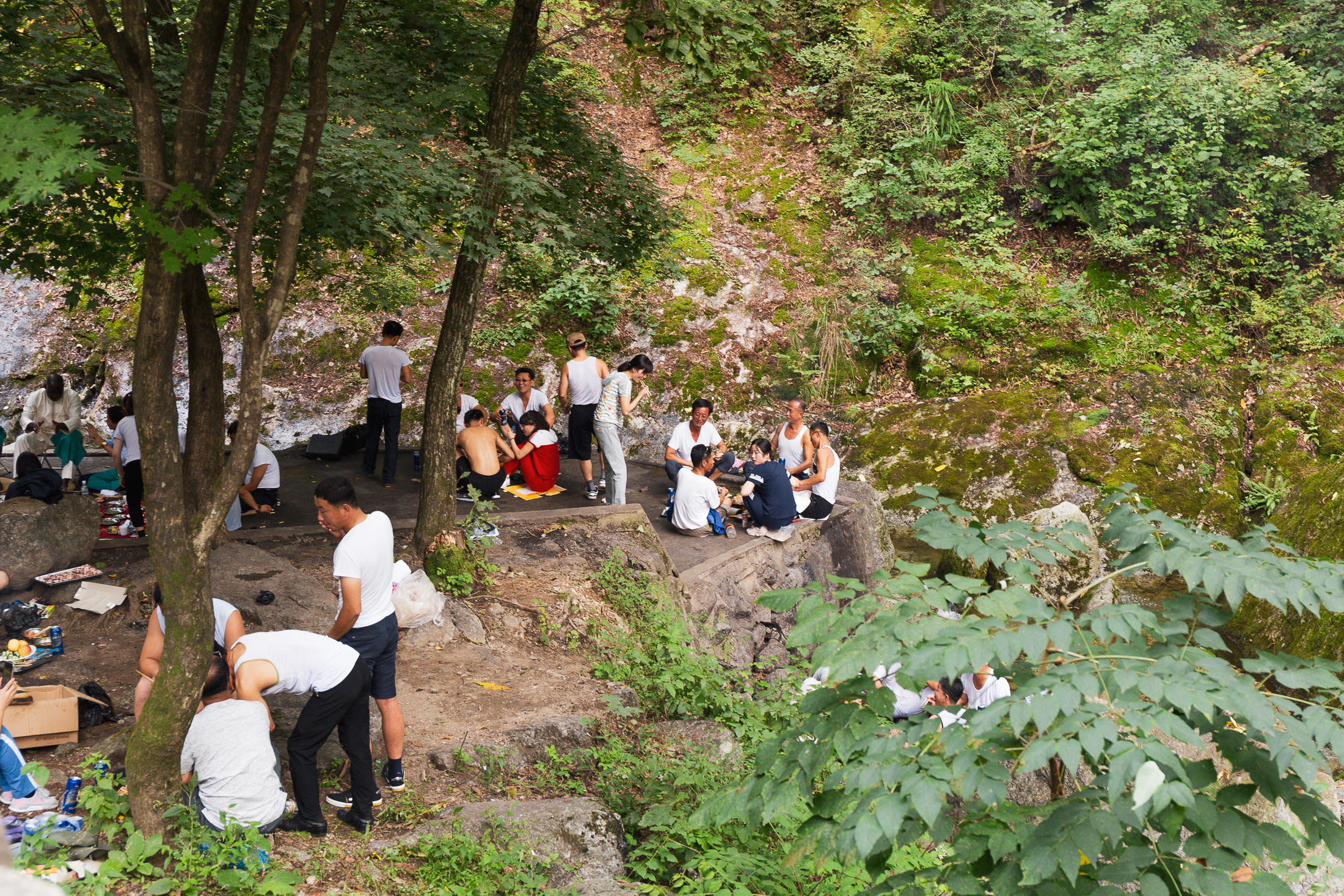 North Korean image