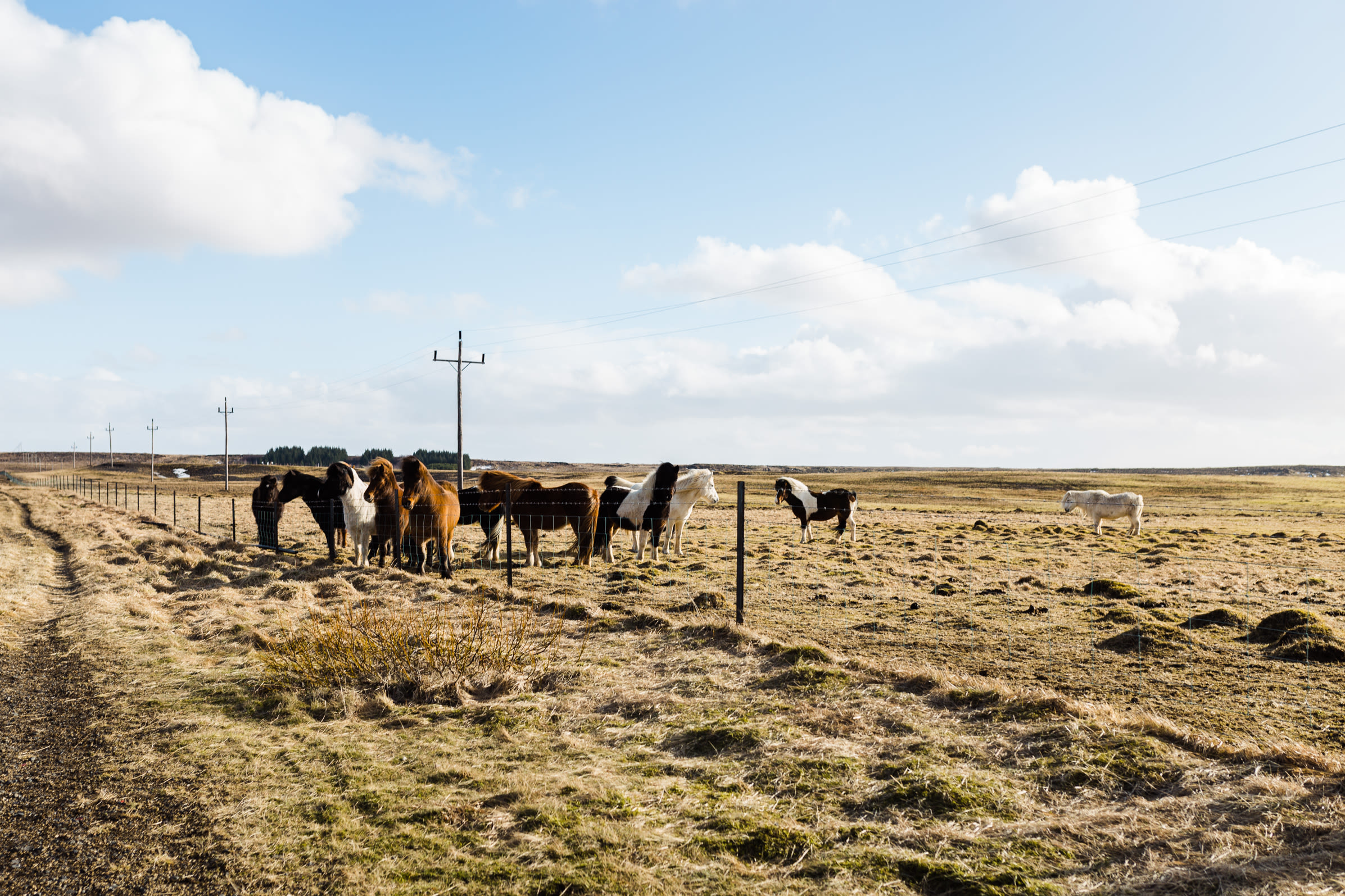 Iceland 0054