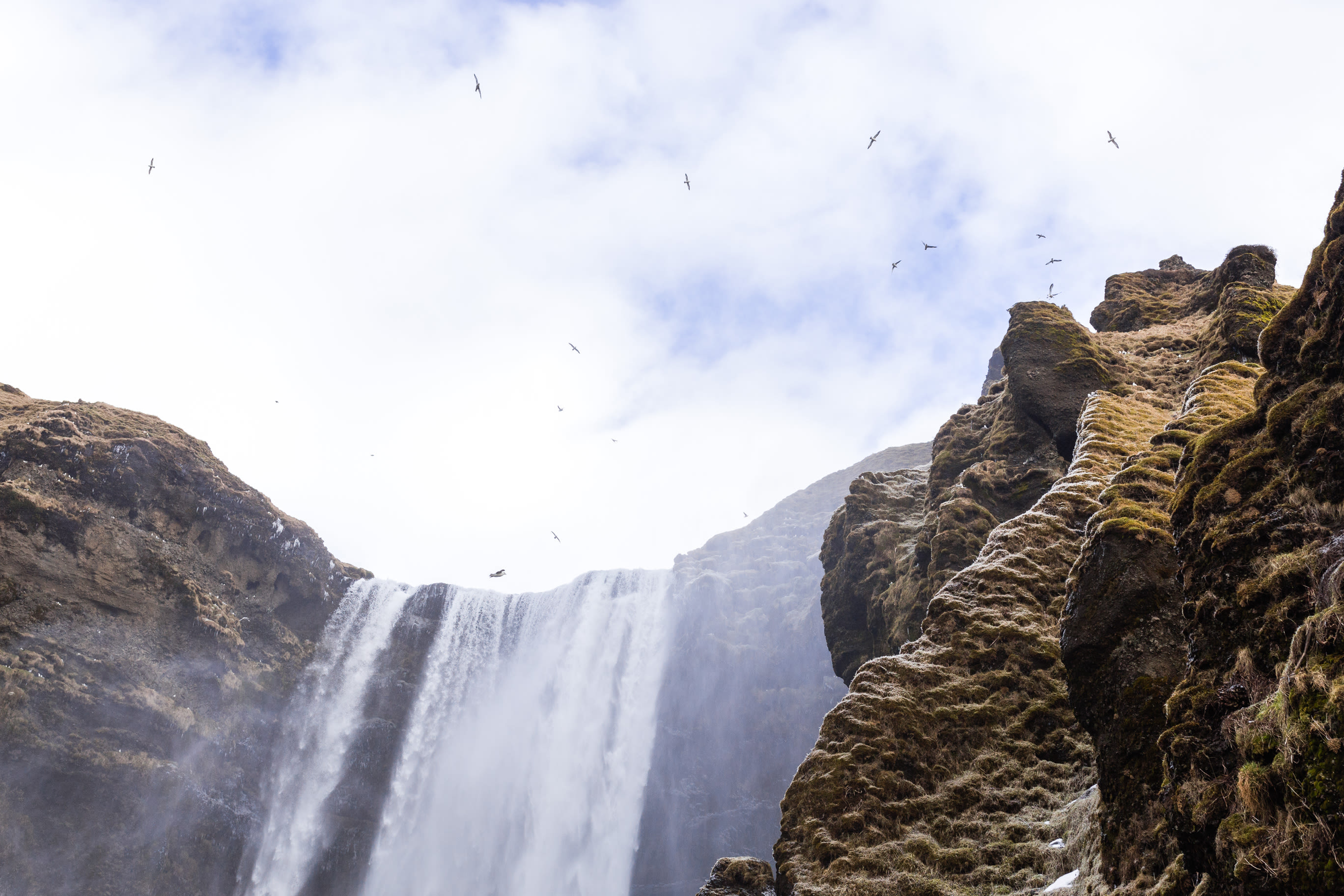Iceland 0098