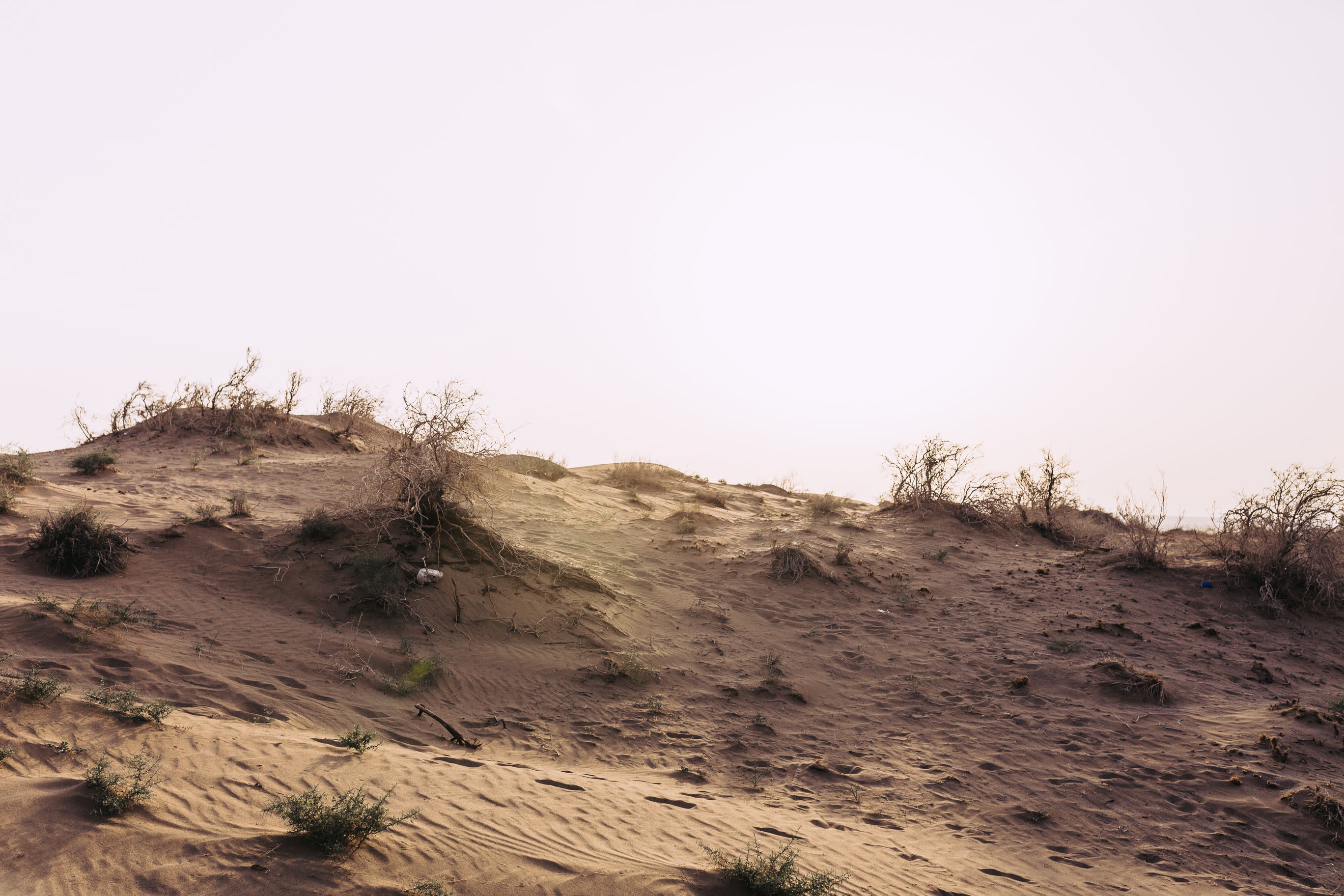 Iran 054