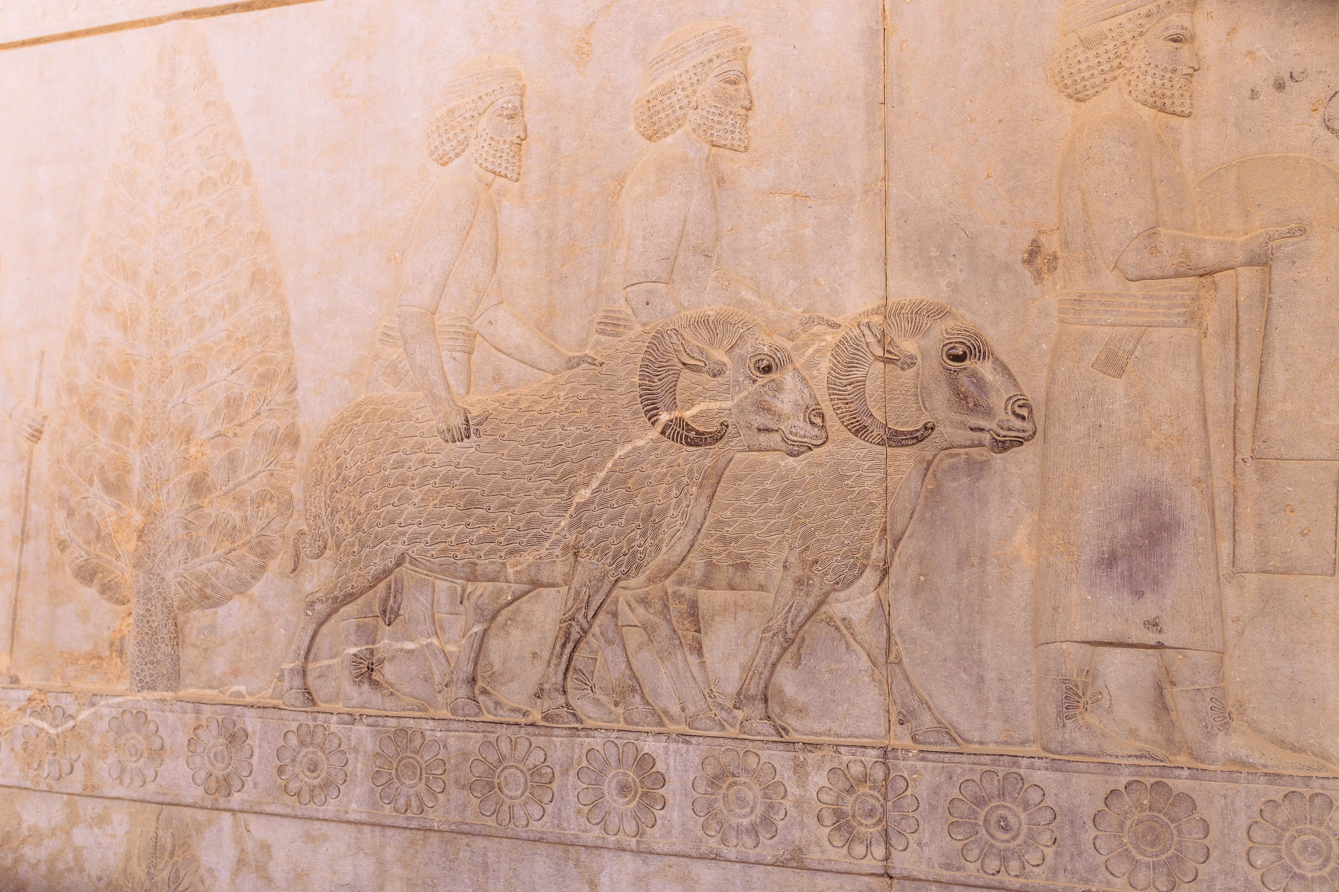 Iran 129