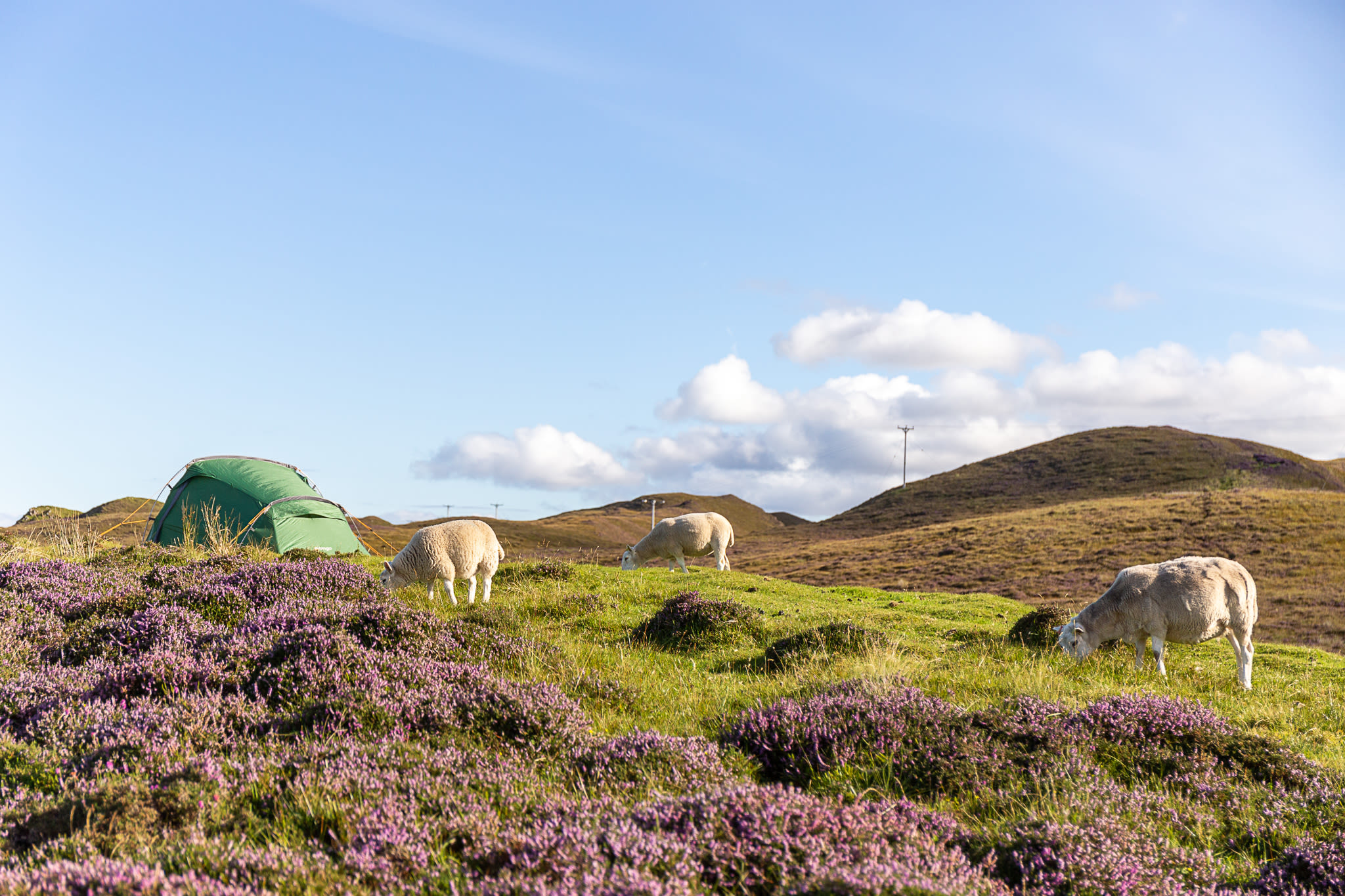 Scotland-25