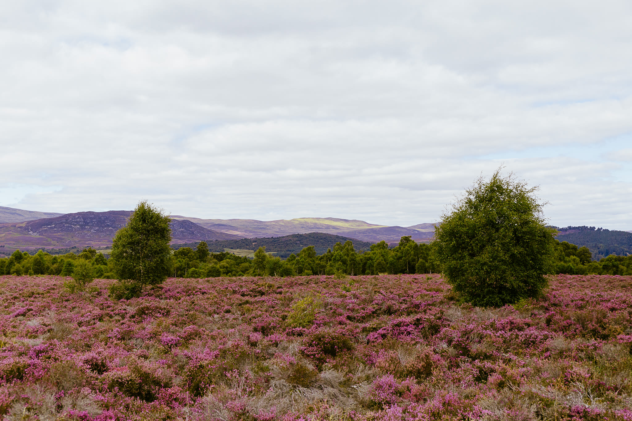 Scotland-40