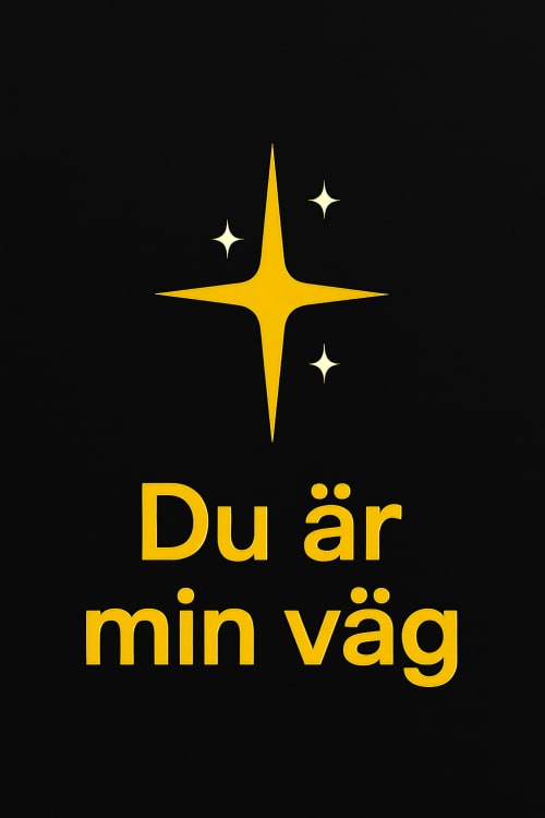 Siyah renkli olsun kameranın yan tarafında ✨bu yıldızdan olsun ve altında “Du är min väg” bu yazı olsun