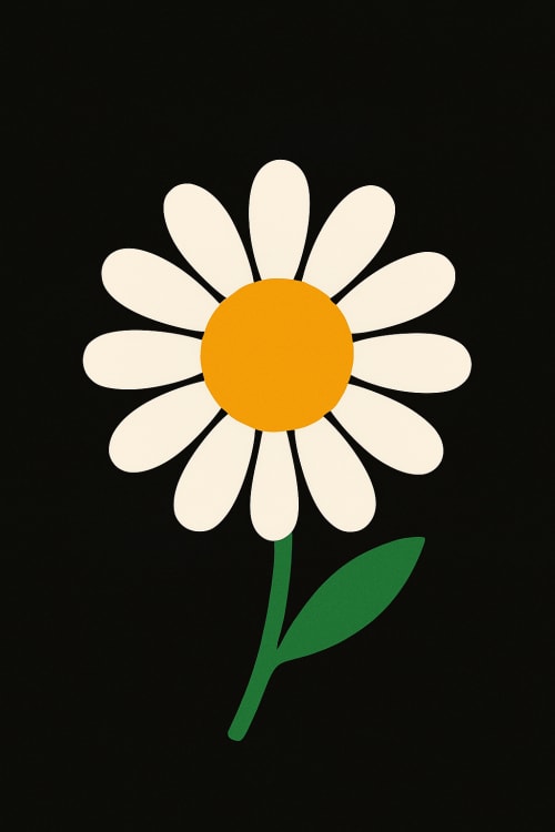 Siyah kılıf olsun
