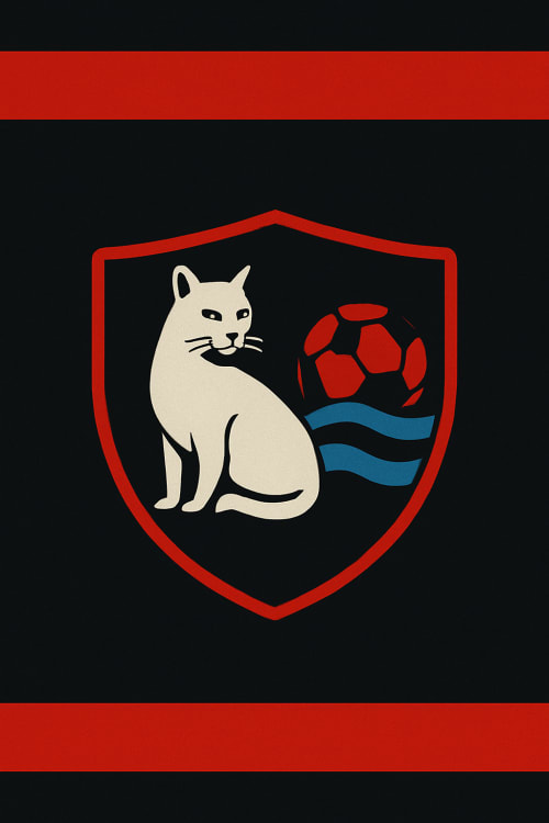 Van spor logosu olsun ortada üst ve altındada siyah kırmızı şerit olsun