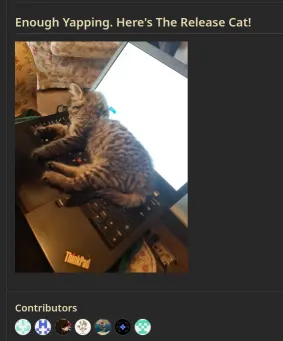 GitHub release notes of Fabric. Section titled "Enough Yapping. Here's The Release Cat!" Then photo of my kitten lying on a laptop keyboard.