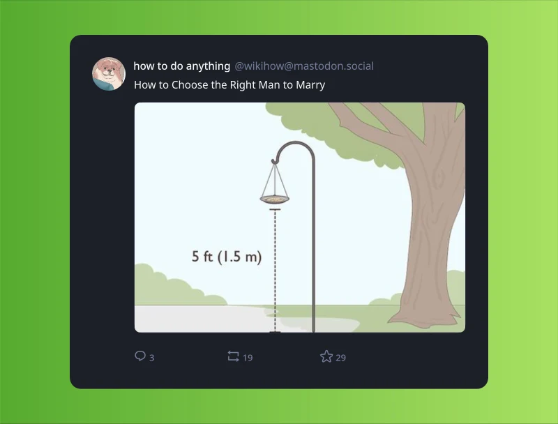 A screenshot of post by "how to do anything" (@wikihow@mastodon.social) with the text "How to Choose the Right Man to Marry" and an image of a bird feeder. There's a mark saying that it's 1.5m (5 ft) above the ground.