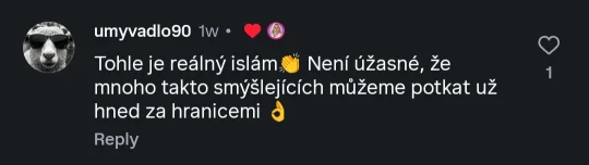 @umyvadlo90: Tohle je reálný islam👏 Není úžasné, že mnoho takto smýšlejících můžeme potkat už hned za hranicemi 👌 (lajknuto Danuší Nerudovou.)