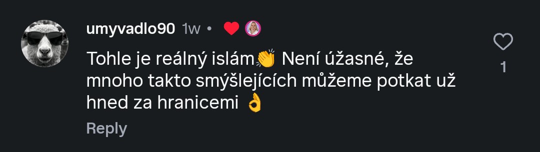 @umyvadlo90:
Tohle je reálný islam👏 Není úžasné, že
mnoho takto smýšlejících můžeme potkat už
hned za hranicemi 👌 (lajknuto Danuší Nerudovou.)