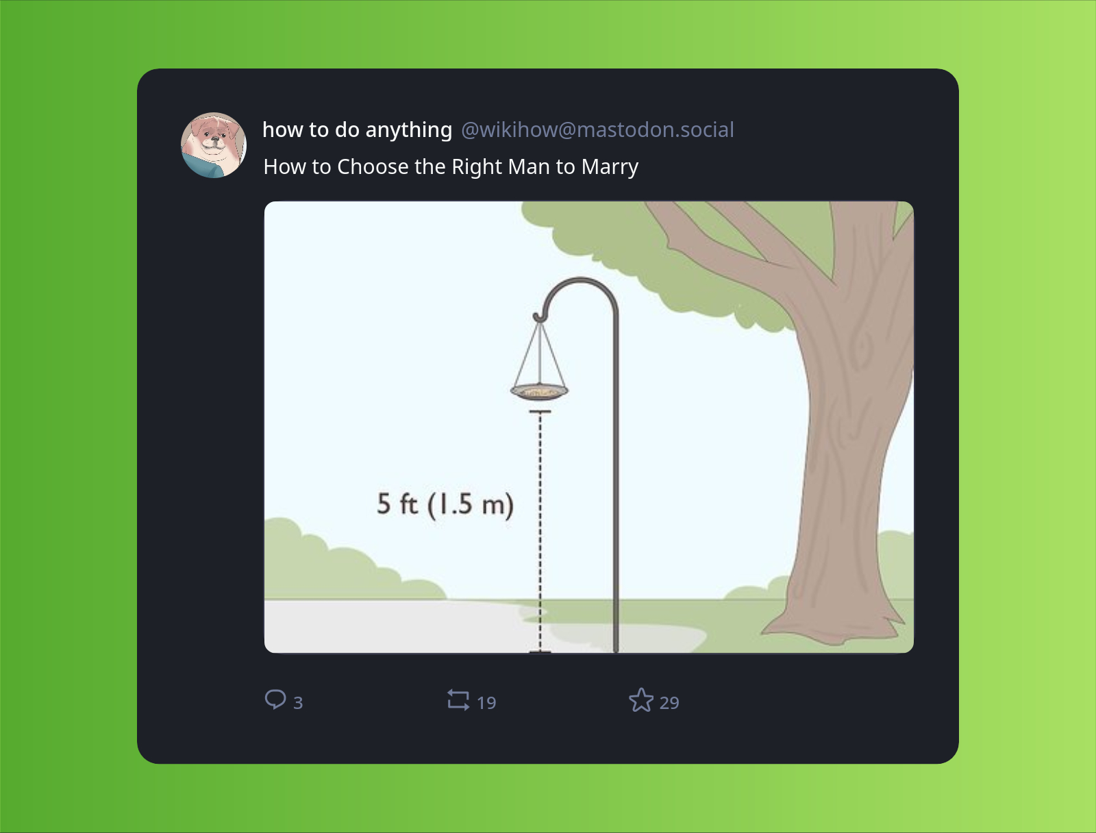 A screenshot of post by "how to do anything" (@wikihow@mastodon.social) with the text "How to Choose the Right Man to Marry" and an image of a bird feeder. There's a mark saying that it's 1.5m (5 ft) above the ground.