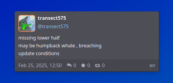 A screenshot of post by transect575 with a three line haiku "missing lower half (newline) may be humpback whale , breaching (newline) update conditions"