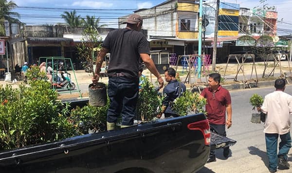 DLHK Sisip Tanaman Hias Baru di Trotoar Jalan Protokol Idi