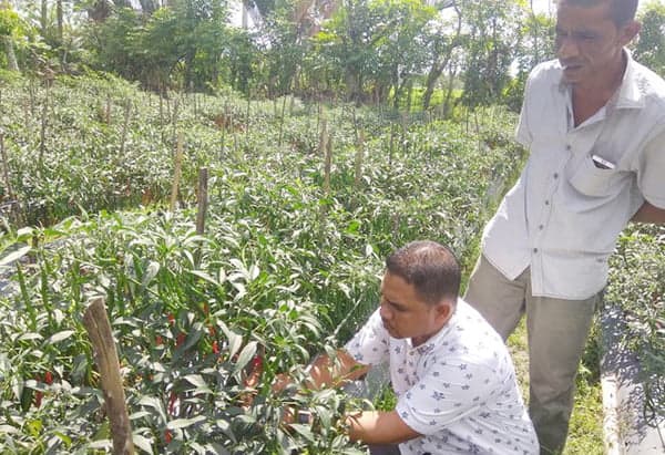 Pak Tani : Perusahaan Harus Menyemangati Petani Dengan CSR di Masa Pandemi