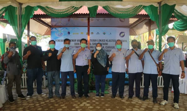 YAGASU Tanam 1.5 Hektar Manggrove Pada Klaster Tambak Udang Nasional Aceh Timur