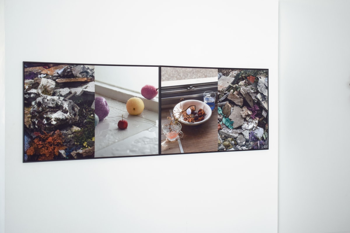 Sweetened, Ruined photography series artwork
