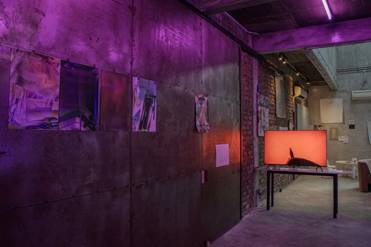 In The Words Where You've Touched Are Soft video installation still