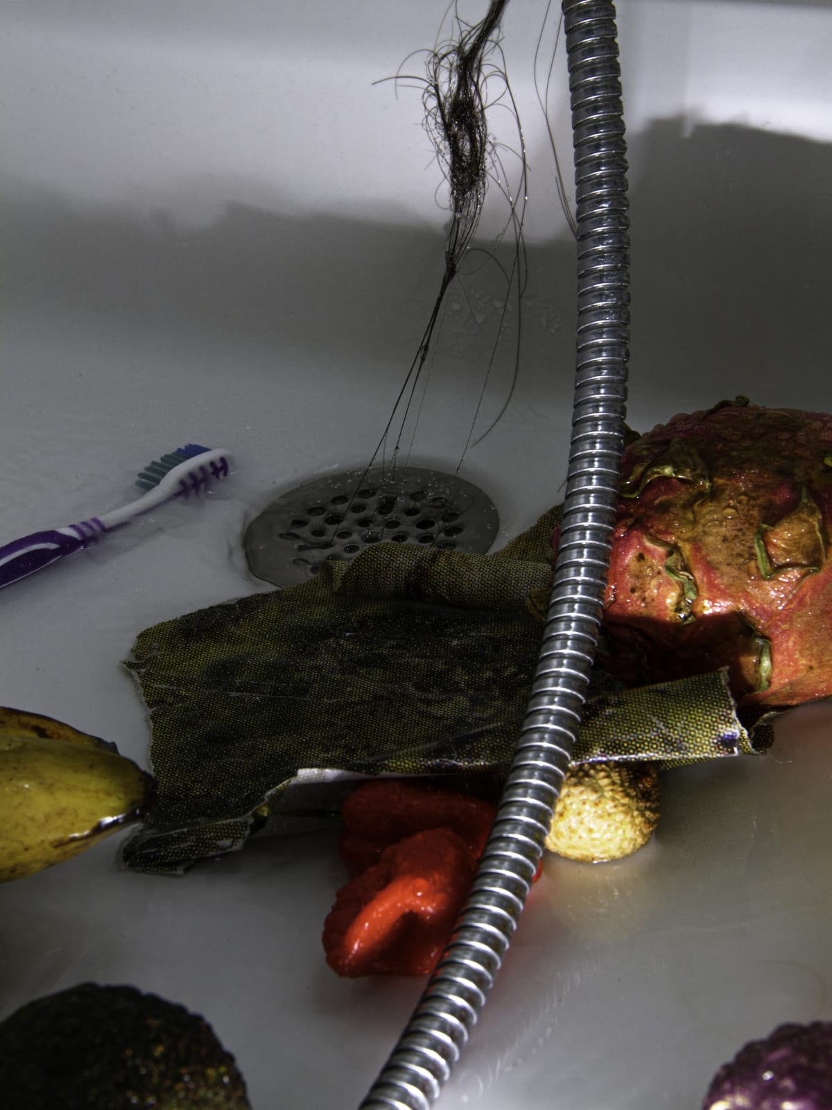 The Seduction of Hunger photography series artwork